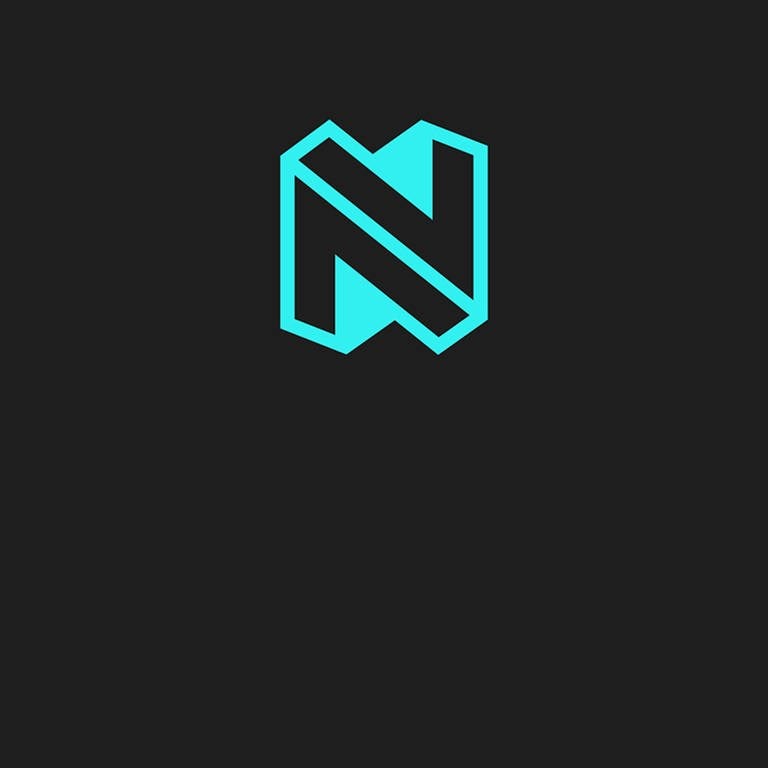 Newszone-Logo (Foto: SWR DASDING)